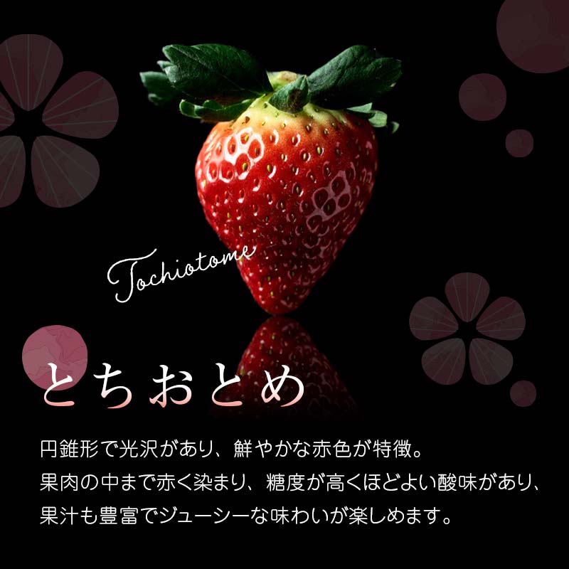 ＜2026年発送＞伊達市霊山で採れるいちご「とちおとめ」1kg （250g×4パック） イチゴ 苺 F20C-532