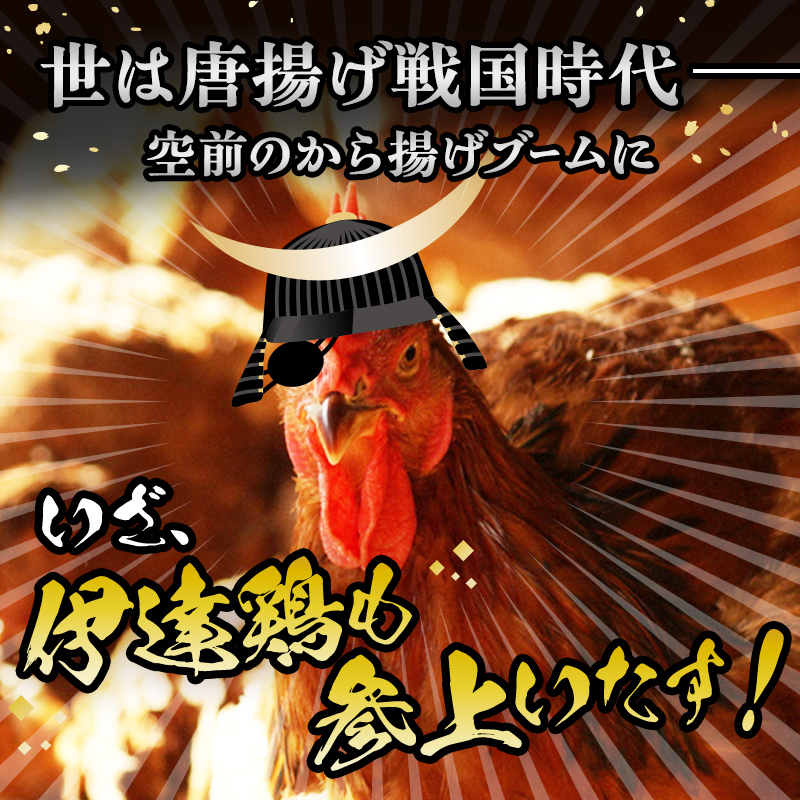 福島県 伊達市産 伊達鶏のから揚げ125g×4パック 500gセット 唐揚げ 冷凍 冷凍食品 簡単 簡単調理 レンジ で チン 時短 からあげ おかず おつまみ おやつ 鶏肉 チキン だてどり F20C-568 約500g(125g×4パックセット)