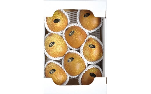 ＜高級西洋なし＞とろける食感ゼネラル・レクラ－ク2.5kg（7～8玉）  なし ナシ 梨 デザート フルーツ 果物 くだもの 果実 食品 F20C-588