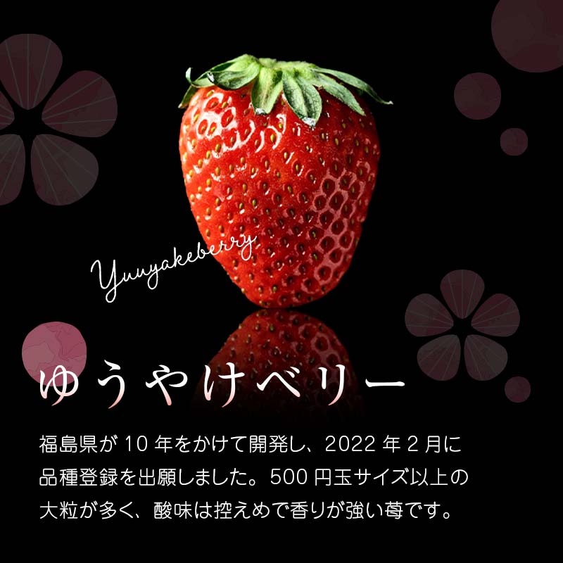 ＜2026年発送＞＜限定＞新品種のいちご 福島県 オリジナル品種「ゆうやけベリー」約1kg（250g×4パック）イチゴ 苺 フルーツ 果物 伊達市 F20C-678