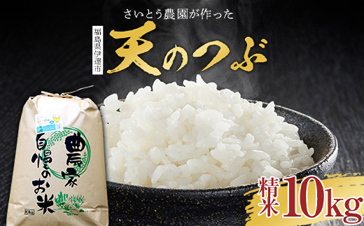 2025年産米 さいとう農園が作った天のつぶ 精米10kg 白米 【先行予約】2025年10月中旬から順次発送 ご飯 ごはん ライス 伊達市 F21C-168