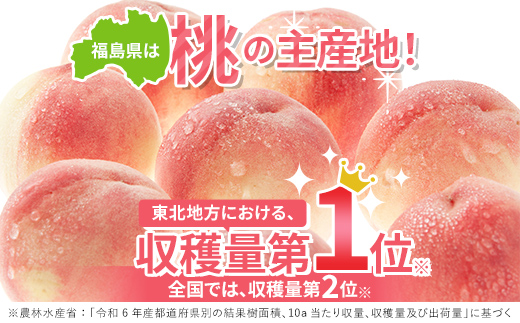 福島県産 あかつき 2.3kg 2025年7月中旬～2025年8月上旬発送 2025年出荷分 先行予約 予約 伊達の桃 桃 もも モモ 果物 くだもの フルーツ 名産品 国産 食品  F20C-783