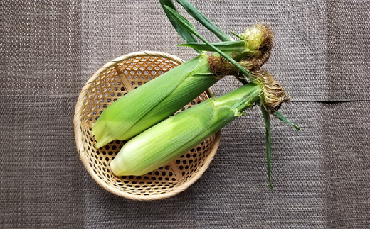 極上の甘さ！ とうもろこし 「おおもの」 10本（約3.5kg） F20C-933