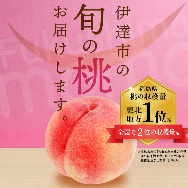 【2026年出荷分先行予約】福島県産 どれが届くかお楽しみ白桃 約1kg (3～6玉) 農業生産法人種まきうさぎ株式会社 旬の桃 伊達市産 伊達の桃 フルーツ 果物 もも モモ momo F20C-946