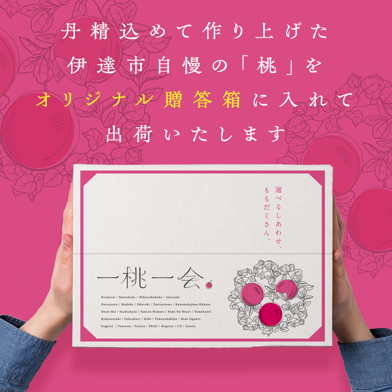 【2026年出荷分先行予約】伊達市のオリジナル箱で届く桃 特秀 約3kg (9～12玉) 透過式光センサー選別 伊達の桃 桃 もも モモ 果物 くだもの フルーツ 名産品 国産 食品 贈答 川中島 ゆうぞら 幸茜 さくら白桃  F20C-957