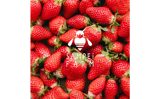 【ご褒美いちご】「ゆうやけベリー」「とちおとめ」の食べ比べセット 約280g×2パック  いちご イチゴ 苺 デザート フルーツ 果物 くだもの 果実 食品 F20C-987