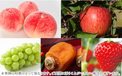 【旬の果物つき！】北福島医療センター日帰り人間ドック チケット  イベント F20C-990