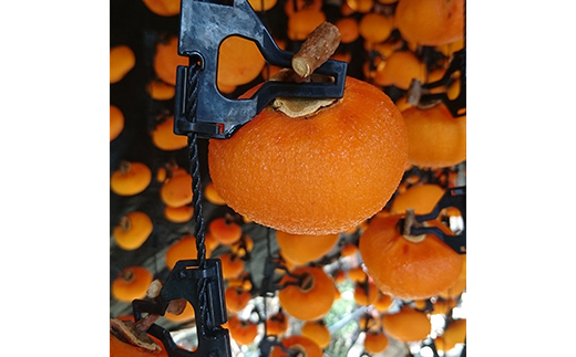 【五十沢ブランド】あんぽ柿 ひらたね柿12個入り800g箱詰め あんぽ柿 ドライフルーツ 干柿 干し柿 F20C-992