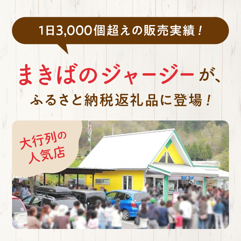 【ジャージー牛乳使用】まきばのジャージーアイス人気の12種12個セット  アイス デザート スイーツ 菓子 食品 F21C-036