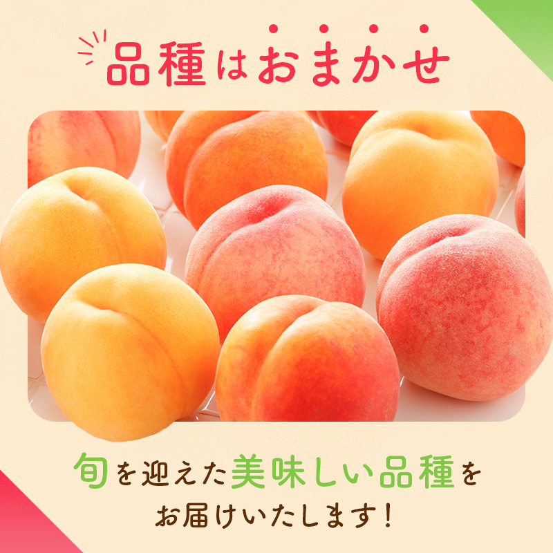 2026年先行予約 家庭用の桃 福島県産 品種おまかせ 約5kg 8月出荷分 数量限定 期間限定 桃 もも モモ 果物 くだもの フルーツ F21C-084 約5kg 8月出荷分