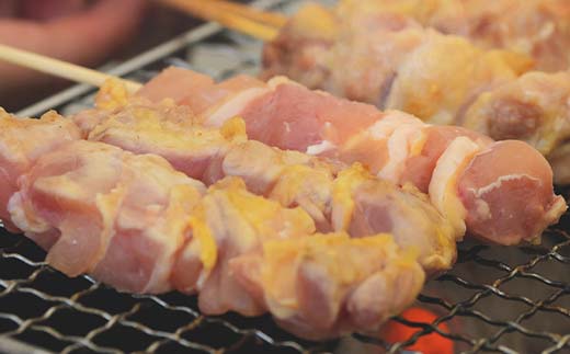 福島ブランド鶏 伊達鶏 むね＆もも串 16本セット おつまみ グルメ チキン BBQ キャンプ バーベキューだてどり 高タンパク F21C-177