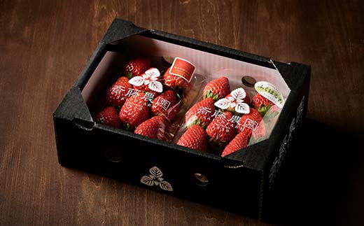 ＜2026年発送＞伊達市霊山で採れるいちご2種類詰め合わせ500g（ゆうやけベリー＆おすすめ品種） ゆうやけベリー とちおとめ ふくはる香 紅ほっぺ おいCベリー イチゴ 苺 いちご F21C-216