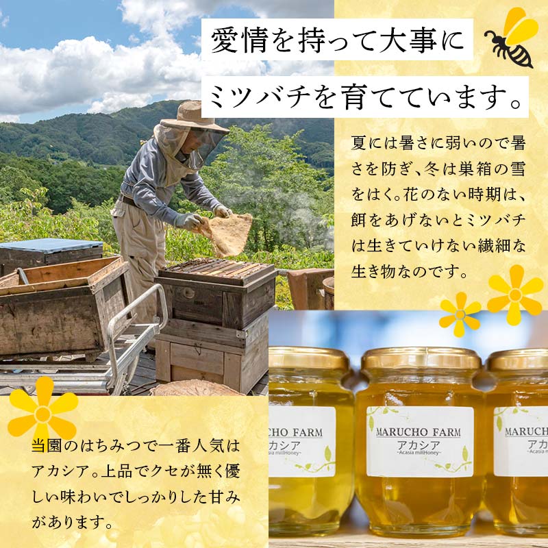 アカシアはちみつ 1kg(500g×2本) 伊達市産 国産 天然 蜂蜜 ハチミツ ハニー  F20C-292
