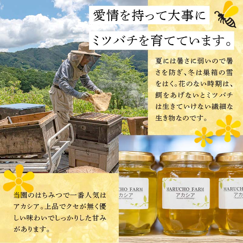 はちみつ米5kgとアカシアはちみつ50gセット 伊達市産 国産 天然 蜂蜜 ハチミツ ハニー お米 F21C-163