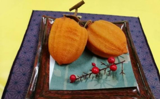 【元祖あんぽ柿の里】五十沢産 あんぽ柿 6個入り  加工品 食品 F20C-329