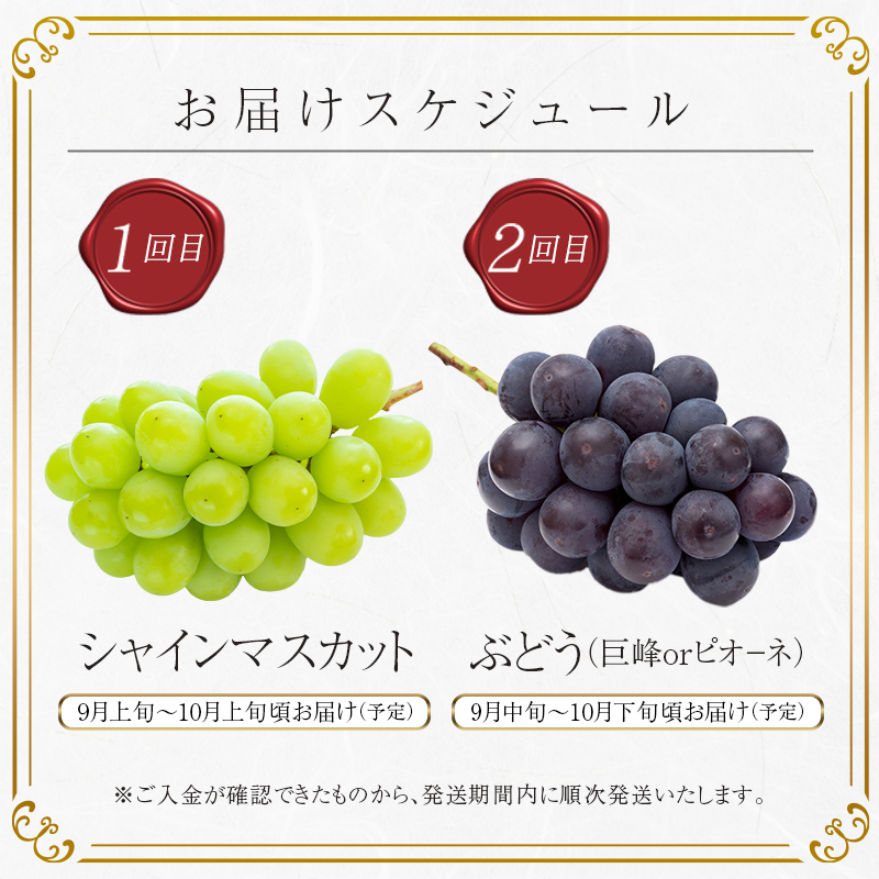 ＜2025年秋から開始の定期便＞伊達なフルーツ定期便（ぶどう2種）果物 フルーツ 葡萄 ブドウ 福島県 伊達市  マスカット ぶどう デザート 果物 くだもの 果実 食品 F20C-477
