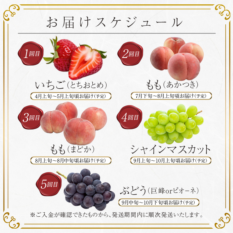 ＜2024年春から開始の定期便＞伊達なフルーツ定期便（いちご・もも2種・ぶどう2種）果物 フルーツ 苺 イチゴ 桃 モモ 葡萄 ブドウ 福島県 伊達市  ぶどう デザート 果物 くだもの 果実 食品 F20C-484