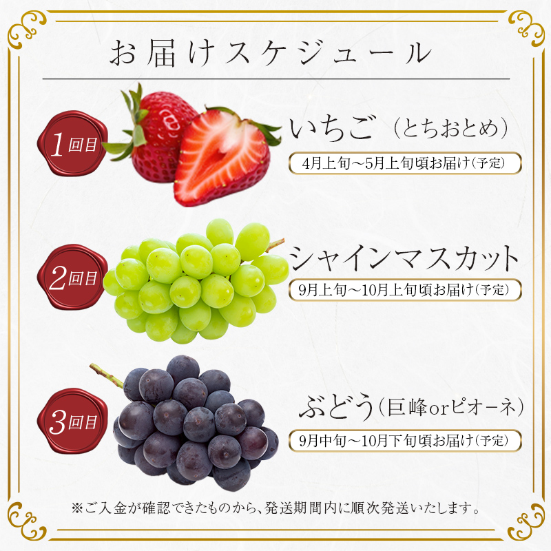 ＜2024年春から開始の定期便＞伊達なフルーツ定期便（いちご・ぶどう2種）果物 フルーツ 苺 イチゴ 葡萄 ブドウ 福島県 伊達市  いちご デザート 果物 くだもの 果実 食品 F20C-487