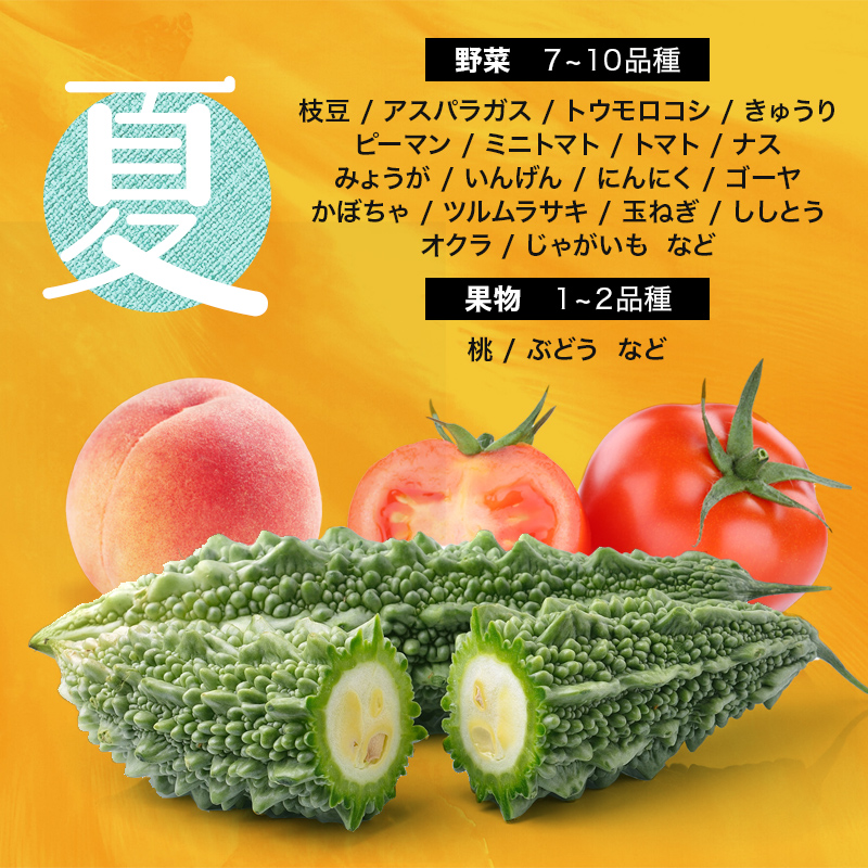 季節の定期便4回 伊達なお野菜とフルーツの詰め合わせ  野菜 セット 詰め合わせ 詰合せ 食品 F20C-491