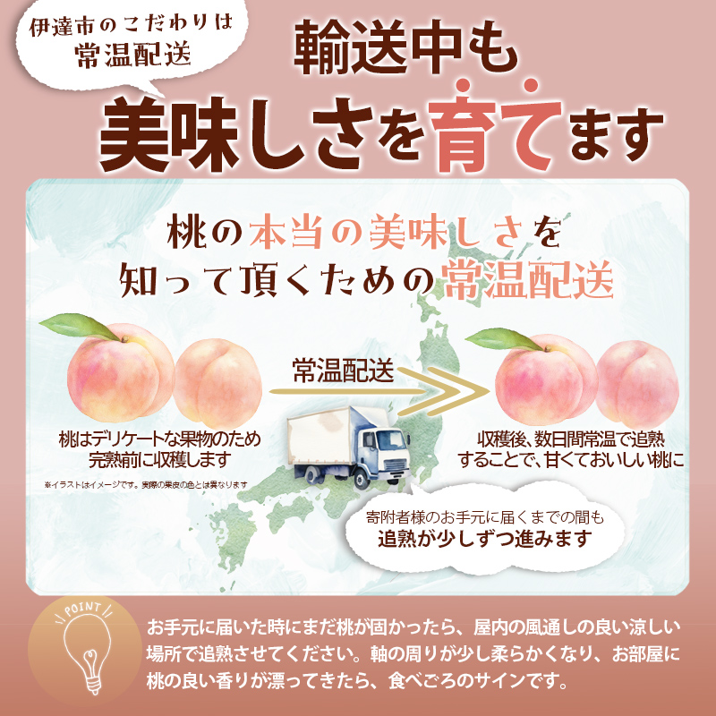 【2026年出荷分先行予約】福島県産 はつひめ 約1.8kg (6～12玉) あかい果樹園 伊達の桃 桃 フルーツ 果物 もも モモ momo F20C-506 約1.8kg