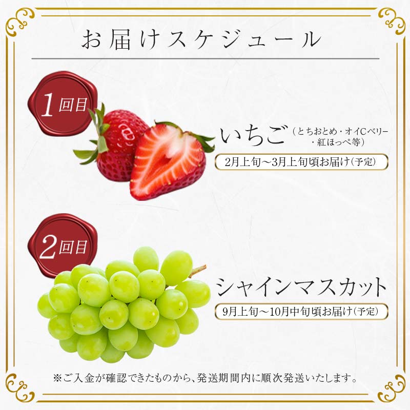 ＜2026年春から開始の定期便＞伊達なフルーツ定期便 (いちご・ぶどう) 果物 フルーツ 苺 イチゴ 葡萄 ブドウ 福島県 伊達市  F20C-511 いちご・ぶどう