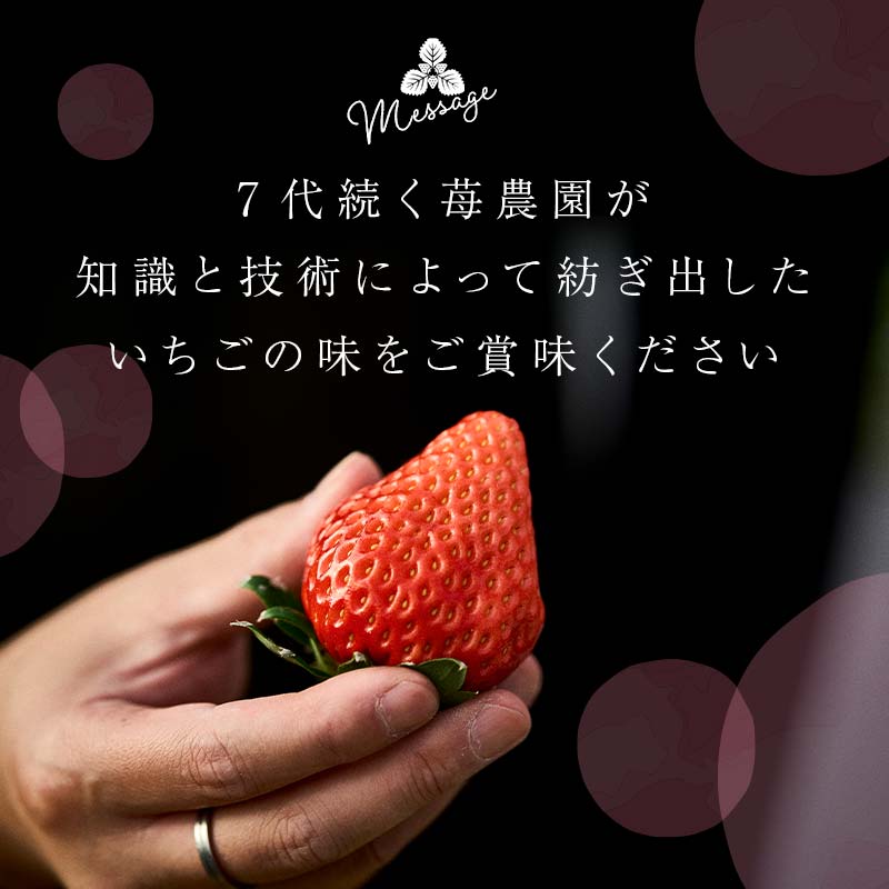 ＜2026年発送＞伊達市霊山で採れるいちご「とちおとめ」1kg （250g×4パック） イチゴ 苺 F20C-532