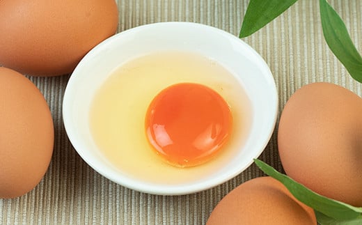 【TVで話題沸騰！】3ヶ月連続定期便！とにかく黄身が濃いたまご「マキシマムこいたまご」毎月50個 伊達市 福島県 国産 MS～LLサイズ 養鶏場直送 卵 たまご 玉子 生卵 鶏卵   F20C-563