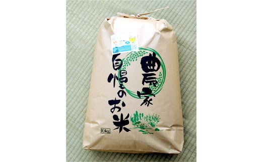 2025年産米 さいとう農園が作った天のつぶ 精米10kg 白米 【先行予約】2025年10月中旬から順次発送 ご飯 ごはん ライス 伊達市 F21C-168