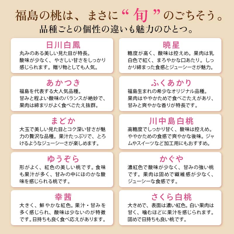 【2026年出荷分先行予約】福島県産 どれが届くかお楽しみ白桃 約1kg (3～6玉) 農業生産法人種まきうさぎ株式会社 旬の桃 伊達市産 伊達の桃 フルーツ 果物 もも モモ momo F20C-946