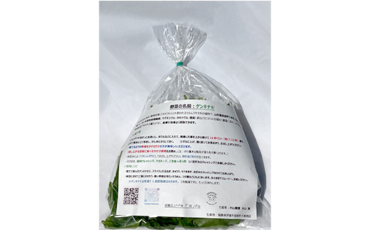 ツルムラサキの仲間のネバネバ野菜！ミネラル豊富なゲンキナ（R）（オカワカメ） 1kg F20C-948