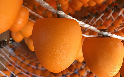 【贈答用】自然栽培あんぽ柿 桐箱 1kg（10～12 個入り）  柿 かき デザート フルーツ 果物 くだもの 果実 食品 F20C-967