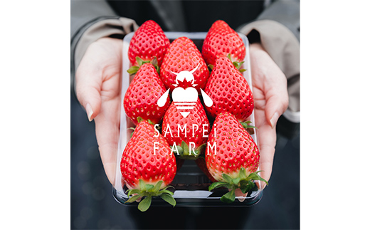 【ご褒美いちご】「ゆうやけベリー」「とちおとめ」の食べ比べセット 約280g×2パック  いちご イチゴ 苺 デザート フルーツ 果物 くだもの 果実 食品 F20C-987