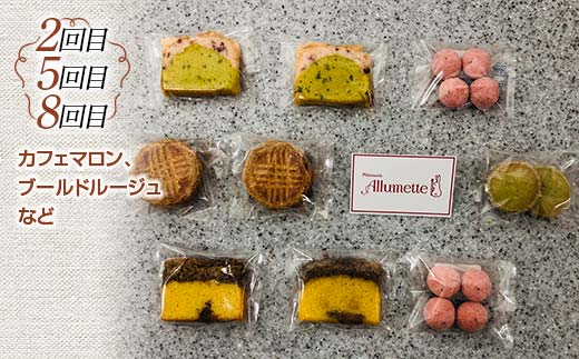 人気パティスリーの定期便 焼き菓子9ヶ月連続 F21C-165