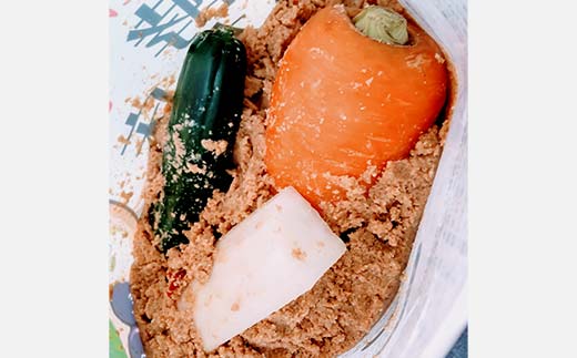 野菜付き！手軽に作れるぬか漬けセット ぬか漬け 漬物 漬け物 野菜 手作り F21C-179