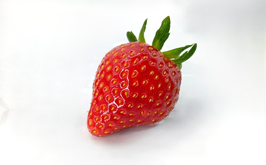 完熟いちご「ほしうらら」 約1.2kg いちご イチゴ 苺 デザート フルーツ 果物 くだもの 果実 食品 F21C-299