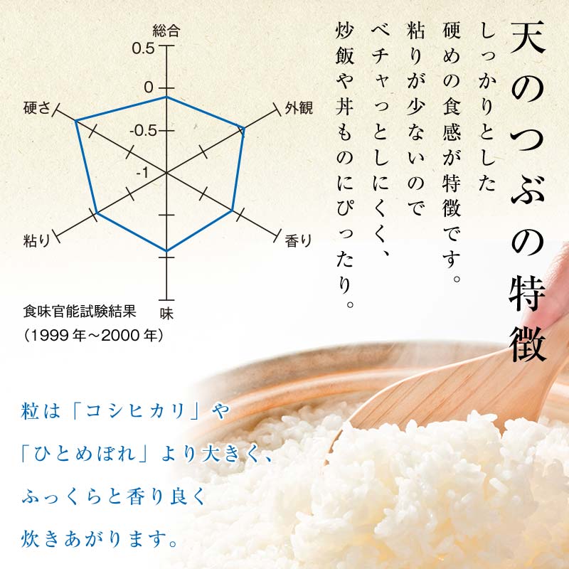 令和7年産米 伊達市産 天のつぶ 精米 4.5kg 訳あり ご飯 ごはん ライス 伊達市  F21C-385
