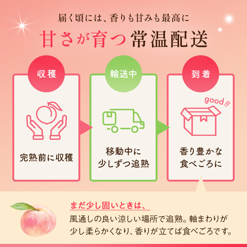 【2026年出荷分先行予約】福島県産 川中島白桃 約2kg 玉数はおまかせ はこざきフルーツ 伊達の桃 桃 フルーツ 果物 もも モモ momo  F21C-429 約2kg