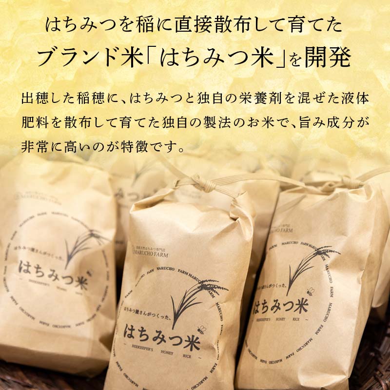 はちみつ米5kgとアカシアはちみつ50gセット 伊達市産 国産 天然 蜂蜜 ハチミツ ハニー お米 F21C-163