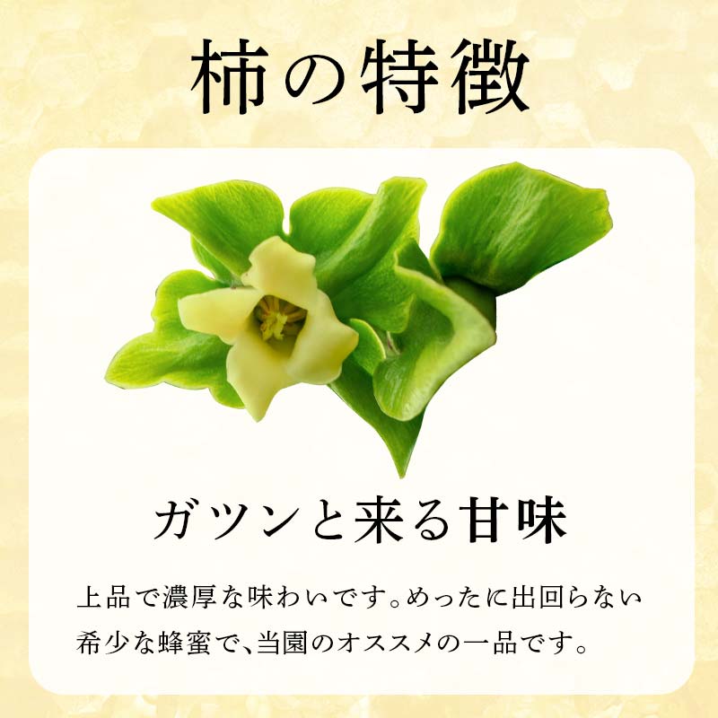 柿の天然はちみつ 900g(300g×3) 伊達市産 国産 天然 蜂蜜 ハチミツ ハニー F20C-294