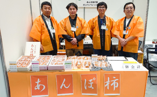 【元祖あんぽ柿の里】五十沢産 あんぽ柿 6個入り  加工品 食品 F20C-329