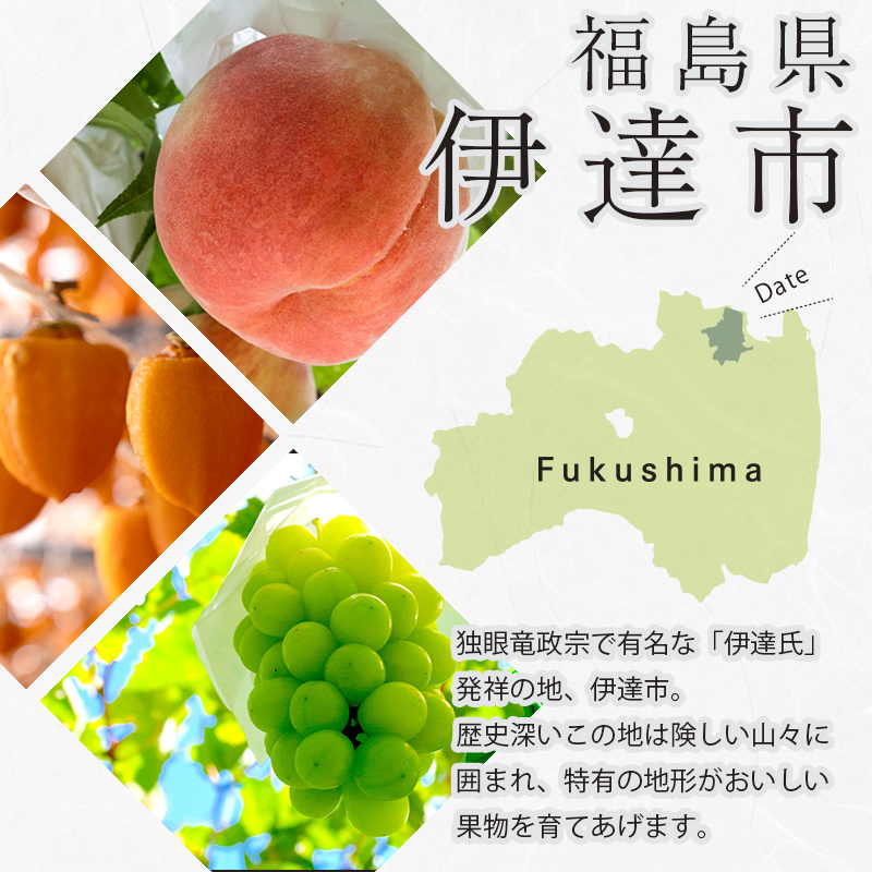 ＜2025年秋から開始の定期便＞伊達なフルーツ定期便（ぶどう2種）果物 フルーツ 葡萄 ブドウ 福島県 伊達市  マスカット ぶどう デザート 果物 くだもの 果実 食品 F20C-477