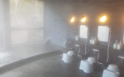 体験宿泊プラン「ふくしま旬の四季彩膳」３人家族コース  トラベル 宿泊 宿 宿泊券 旅行 F20C-523