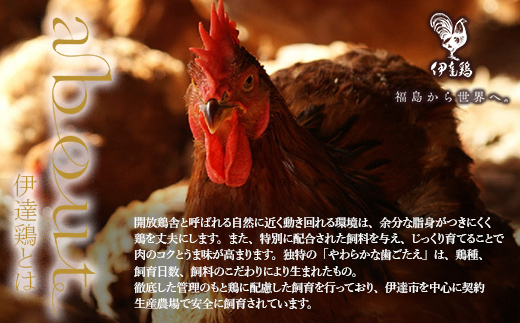 伊達鶏もも肉スパイス焼き 1kg（250g×4） F21C-277