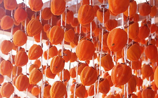 厳選 個包装 あんぽ柿(詰合せ)700g  柿 かき デザート フルーツ 果物 くだもの 果実 食品 F20C-828