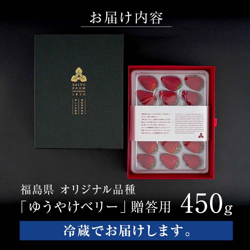 ＜2026年発送＞【贈答用】極上いちご！福島オリジナル品種 ゆうやけベリー 450gイチゴ 苺 フルーツ 果物 伊達市 F20C-958