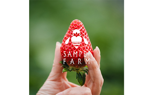 【ご褒美いちご】「ゆうやけベリー」「とちおとめ」の食べ比べセット 約280g×2パック  いちご イチゴ 苺 デザート フルーツ 果物 くだもの 果実 食品 F20C-987