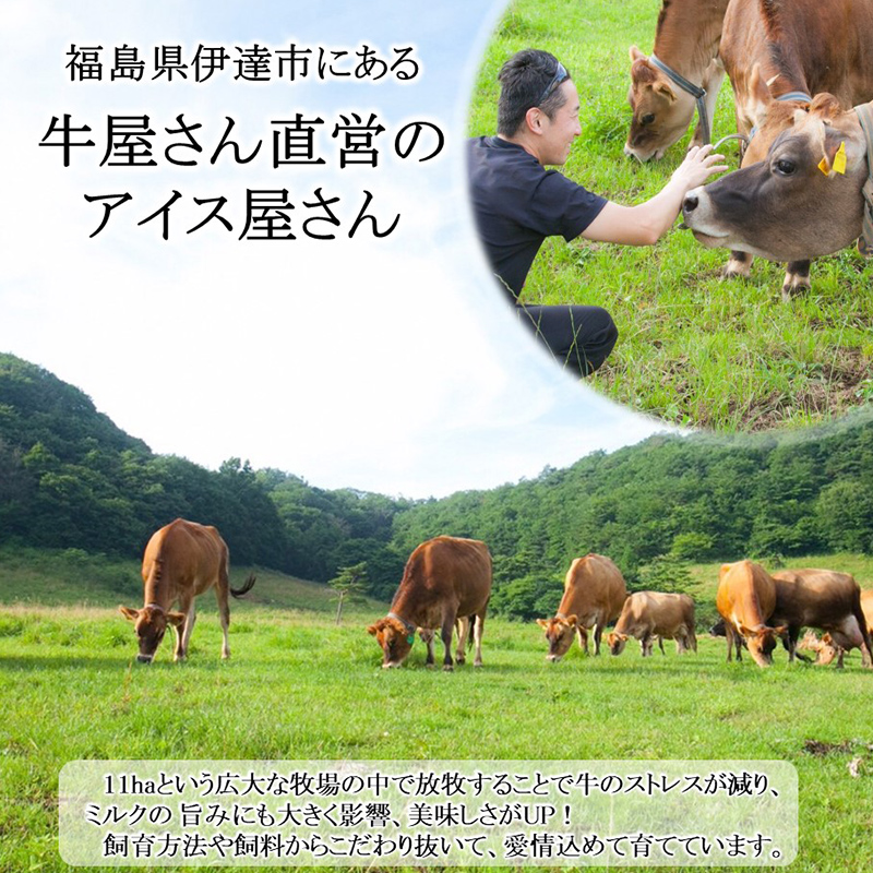 【ジャージー牛乳使用】まきばのジャージーアイス人気の12種12個セット  アイス デザート スイーツ 菓子 食品 F21C-036