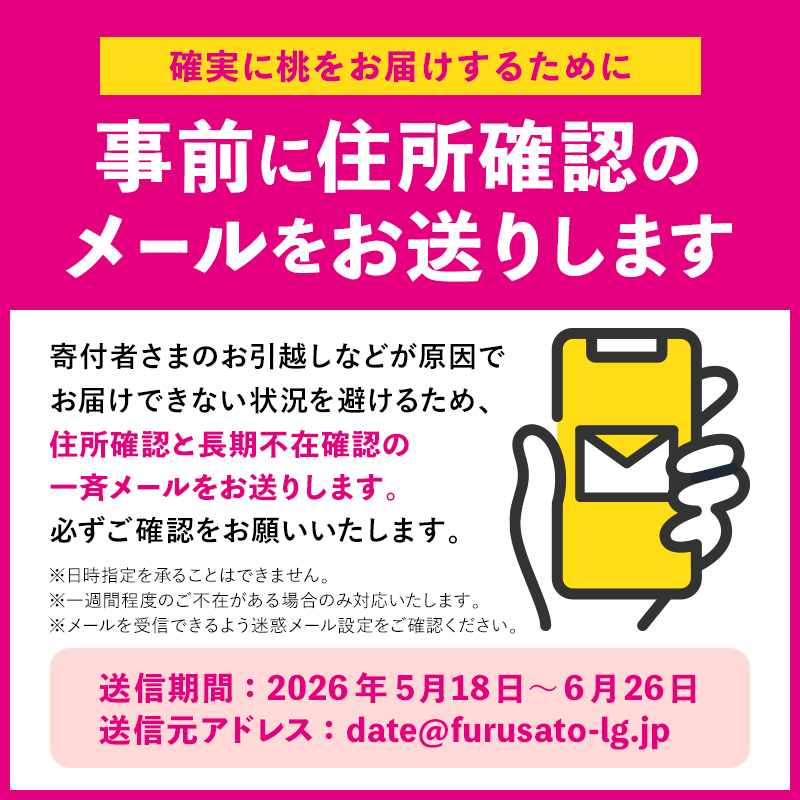 【2026年出荷分先行予約】福島県産 はつひめ 約3kg (9～12玉) 福島の桃農家ペシェエラ 夏の小さな幸せ 伊達の桃 桃 フルーツ 果物 もも モモ momo F21C-068