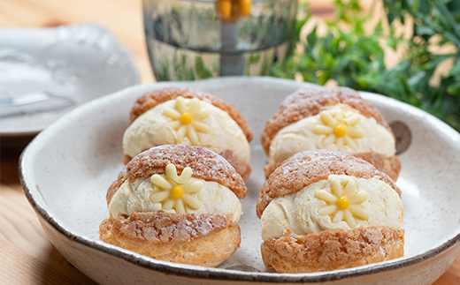 ふくしまスイーツプレミアム りんごのシューアイス 6個入り アイス デザート スイーツ 菓子 食品 F21C-111