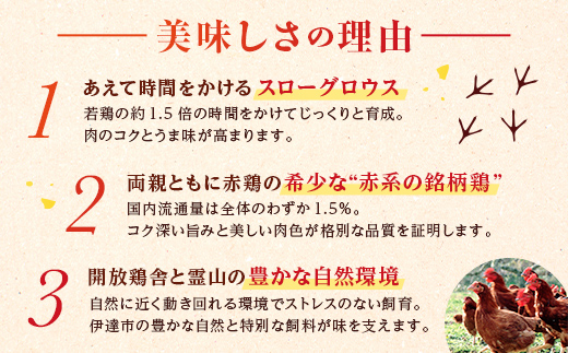 福島県 伊達市産 【伊達鶏使用】専門店のとり鍋 （3人前） 玄海 高タンパク 低カロリー 美容 コラーゲン だてどり 銘柄鶏 ブランド鶏 鍋 だてどり  水炊き 鍋セット なべ 食品 F20C-319